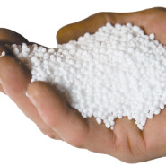 Urea