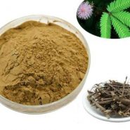 Mimozino lubje v prahu